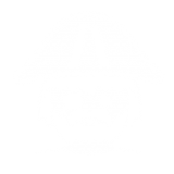Aktivschiff